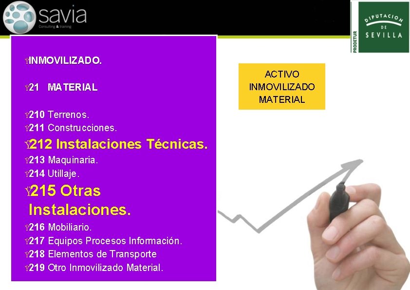 ŸINMOVILIZADO. Ÿ 21 ACTIVO INMOVILIZADO MATERIAL Ÿ 210 Terrenos. Ÿ 211 Construcciones. Ÿ 212