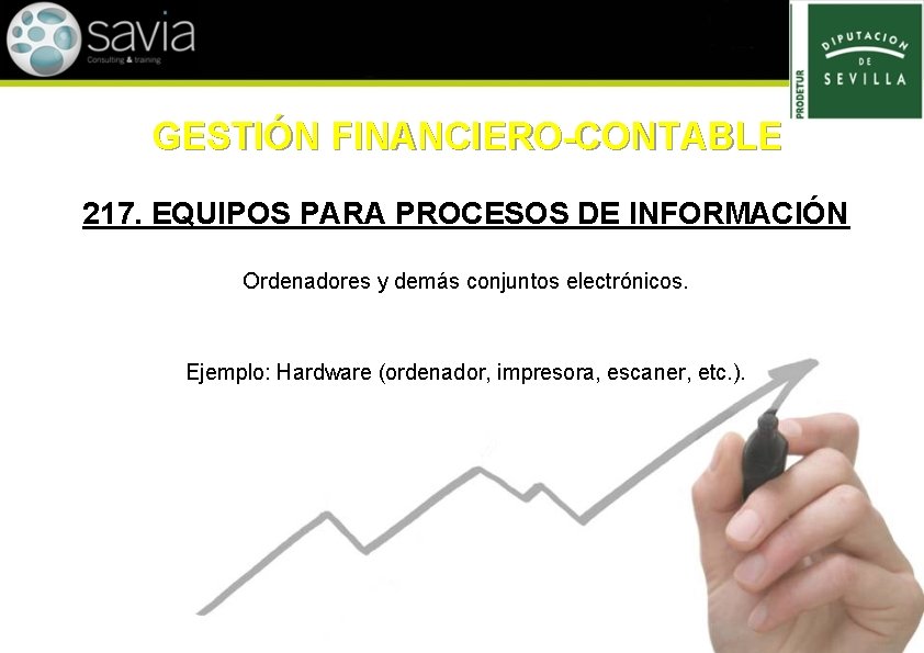 GESTIÓN FINANCIERO-CONTABLE 217. EQUIPOS PARA PROCESOS DE INFORMACIÓN Ordenadores y demás conjuntos electrónicos. Ejemplo: