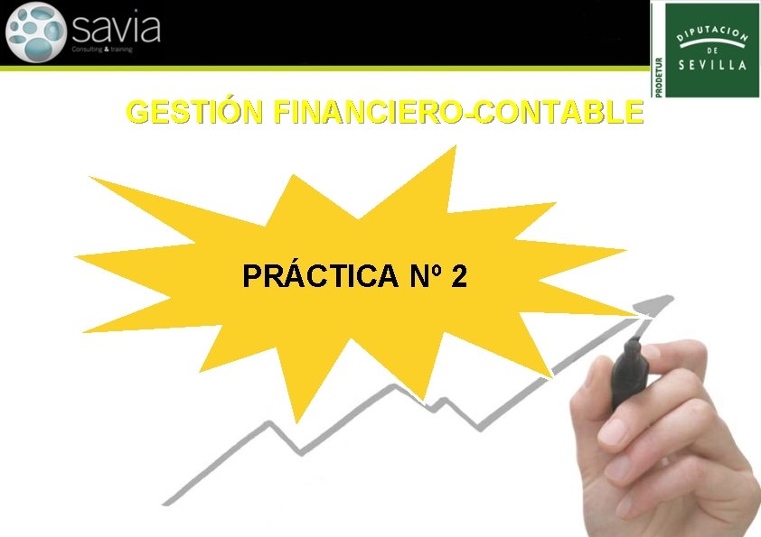 GESTIÓN FINANCIERO-CONTABLE PRÁCTICA Nº 2 