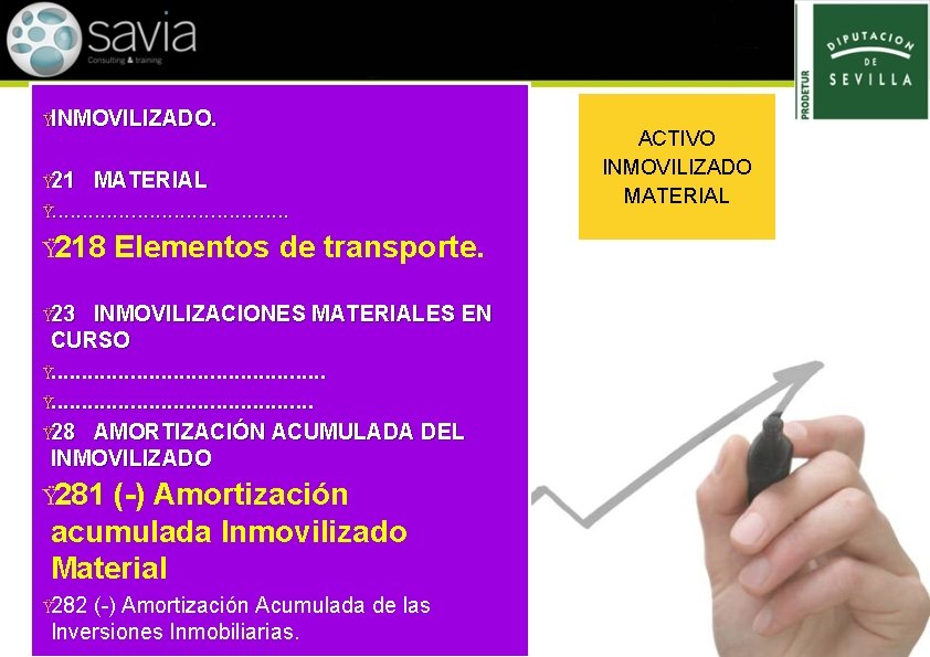 ŸINMOVILIZADO. Ÿ 21 MATERIAL Ÿ. . . . . Ÿ 218 Elementos de transporte.