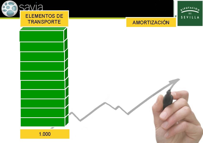 ELEMENTOS DE TRANSPORTE 1. 000 AMORTIZACIÓN 