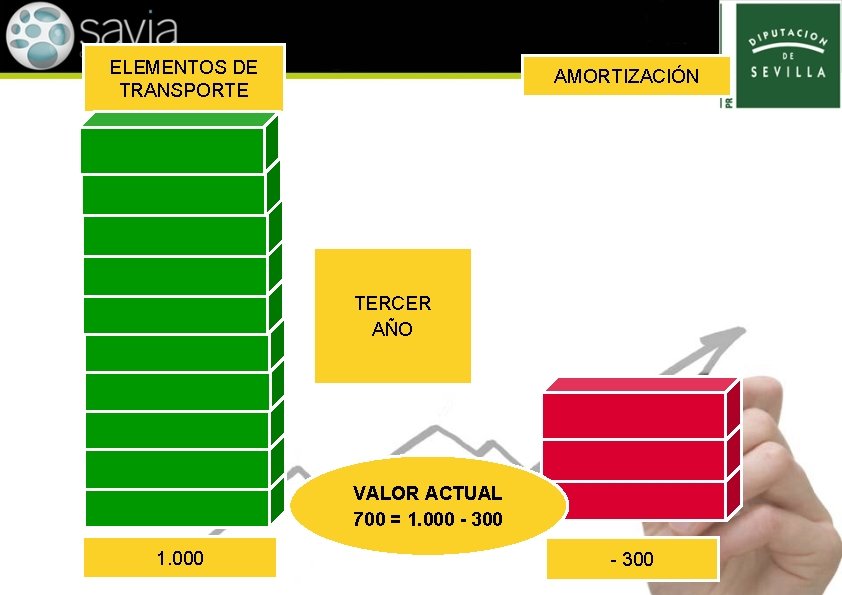 ELEMENTOS DE TRANSPORTE AMORTIZACIÓN TERCER AÑO VALOR ACTUAL 700 = 1. 000 - 300