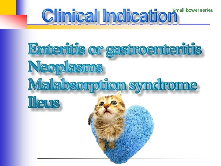 Small bowel series 