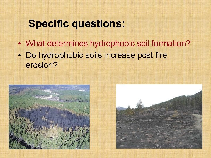 Specific questions: • What determines hydrophobic soil formation? • Do hydrophobic soils increase post-fire