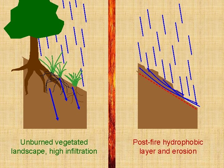 Unburned vegetated djdjsjfdksdskjkjdslkljdskjfl landscape, high infiltration Post-fire hydrophobic layer and erosion 
