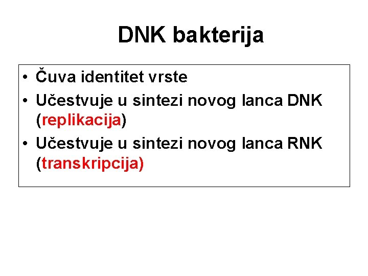 DNK bakterija • Čuva identitet vrste • Učestvuje u sintezi novog lanca DNK (replikacija)