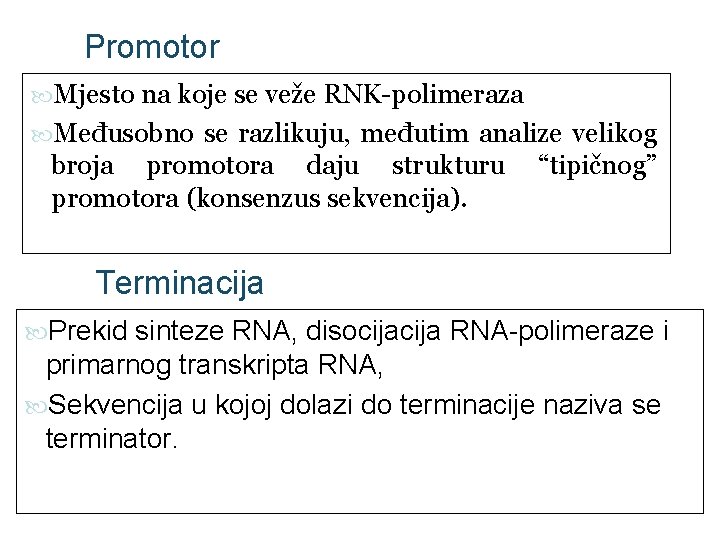Promotor Mjesto na koje se veže RNK-polimeraza Međusobno se razlikuju, međutim analize velikog broja