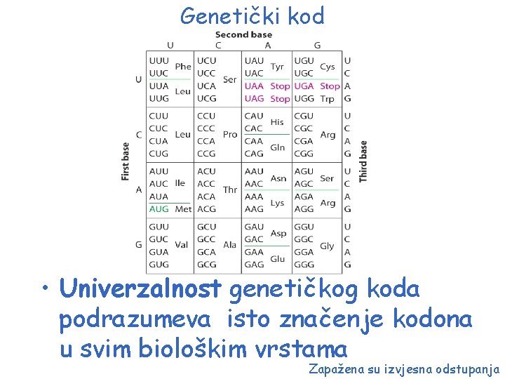 Genetički kod • Univerzalnost genetičkog koda podrazumeva isto značenje kodona u svim biološkim vrstama