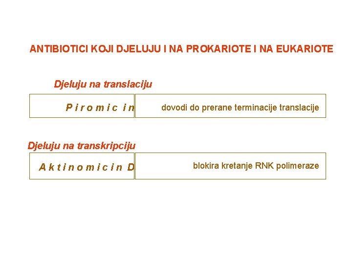 ANTIBIOTICI KOJI DJELUJU I NA PROKARIOTE I NA EUKARIOTE Djeluju na translaciju Piromic in