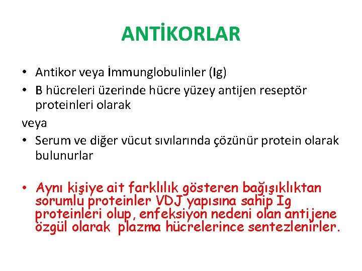 ANTİKORLAR • Antikor veya İmmunglobulinler (Ig) • B hücreleri üzerinde hücre yüzey antijen reseptör