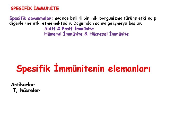 SPESİFİK İMMÜNİTE Spesifik savunmalar; sadece belirli bir mikroorganizma türüne etki edip diğerlerine etki etmemektedir.