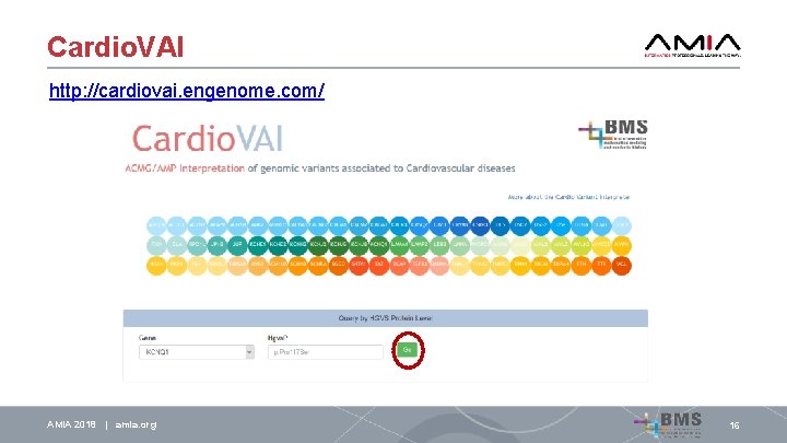 Cardio. VAI http: //cardiovai. engenome. com/ AMIA 2018 | amia. org 16 