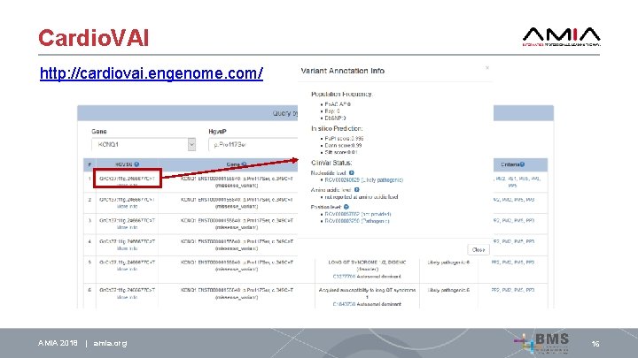 Cardio. VAI http: //cardiovai. engenome. com/ AMIA 2018 | amia. org 16 
