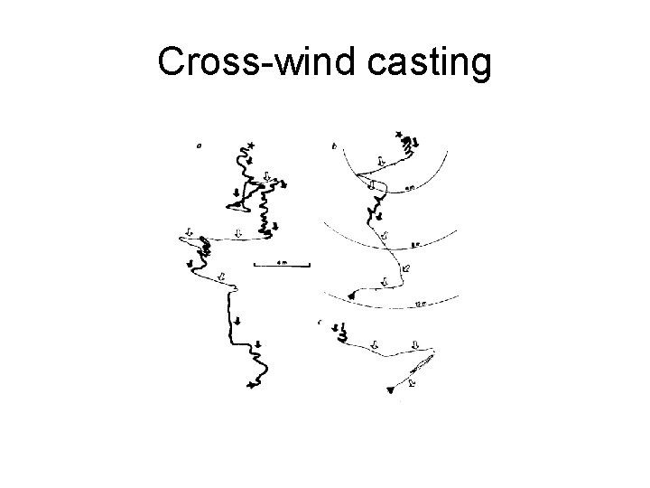 Cross-wind casting 