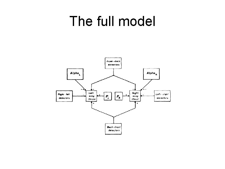 The full model 