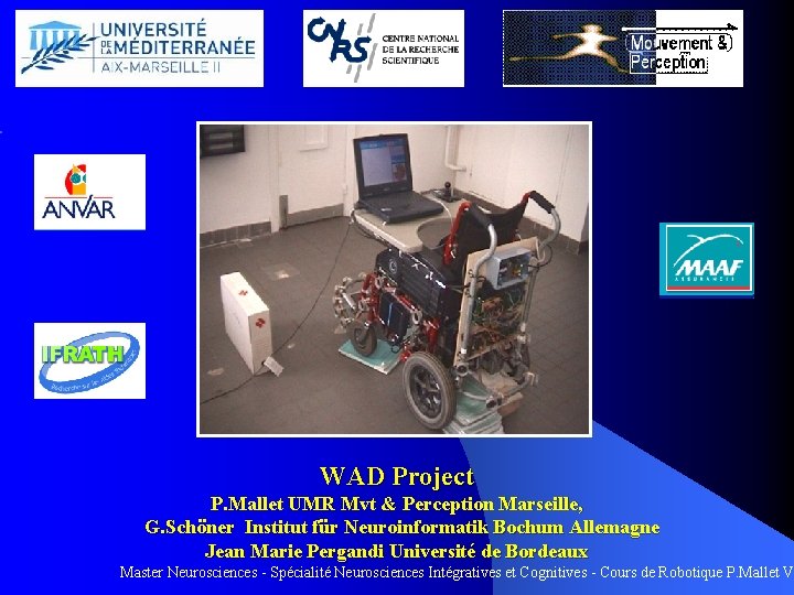 WAD Project P. Mallet UMR Mvt & Perception Marseille, G. Schöner Institut für Neuroinformatik