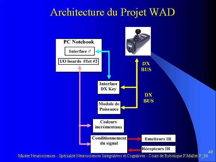  Architecture du Projet WAD 48 Master Neurosciences - Spécialité Neurosciences Intégratives et Cognitives