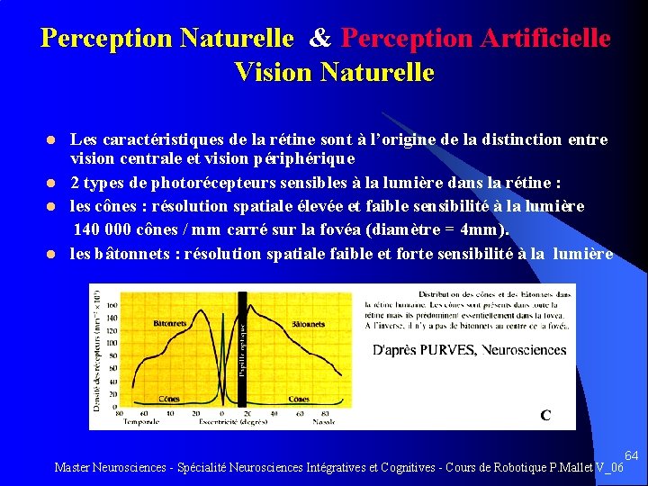Perception Naturelle & Perception Artificielle Vision Naturelle Les caractéristiques de la rétine sont à