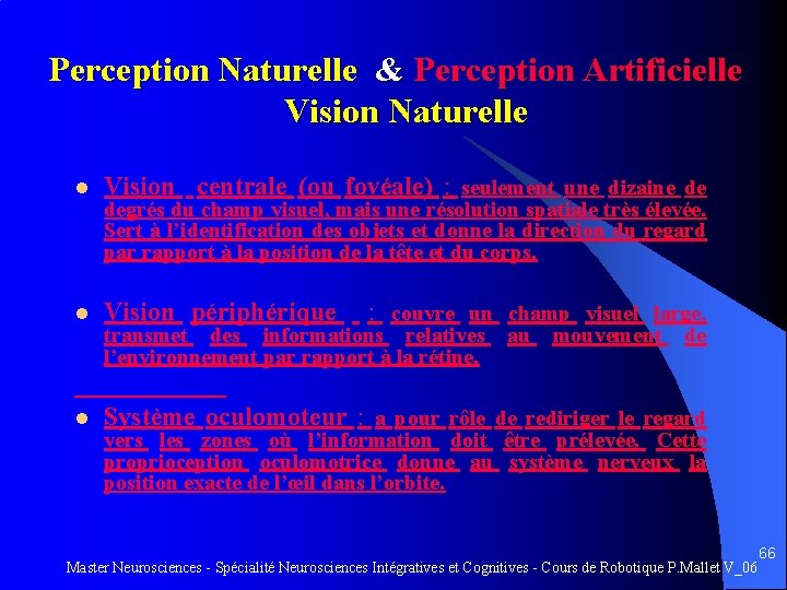Perception Naturelle & Perception Artificielle Vision Naturelle l Vision centrale (ou fovéale) : seulement