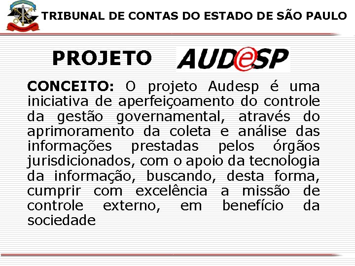 X TRIBUNAL DE CONTAS DO ESTADO DE SÃO PAULO PROJETO CONCEITO: O projeto Audesp