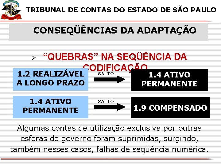 X X TRIBUNAL DE CONTAS DO ESTADO DE SÃO PAULO CONSEQÜÊNCIAS DA ADAPTAÇÃO Ø