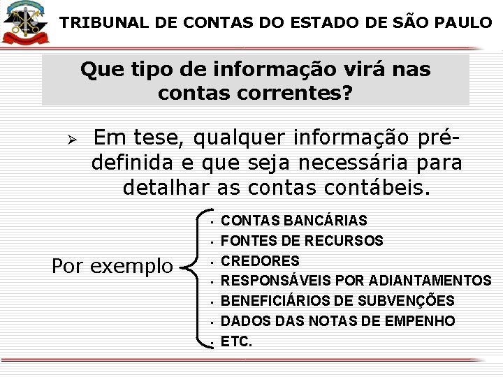 X X TRIBUNAL DE CONTAS DO ESTADO DE SÃO PAULO Que tipo de informação