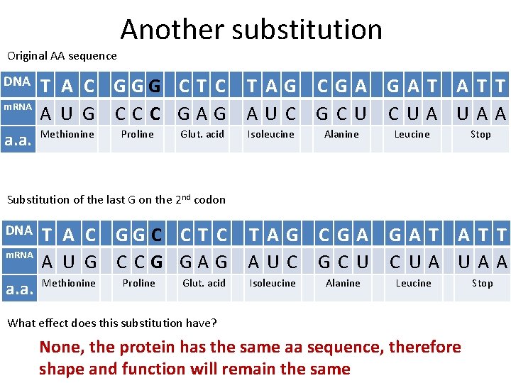 Another substitution Original AA sequence DNA T A C GGG C T C T