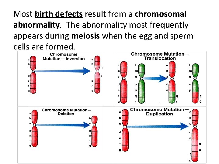 Most birth defects result from a chromosomal abnormality. The abnormality most frequently appears during