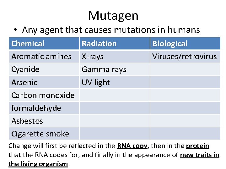 Mutagen • Any agent that causes mutations in humans Chemical Aromatic amines Cyanide Arsenic