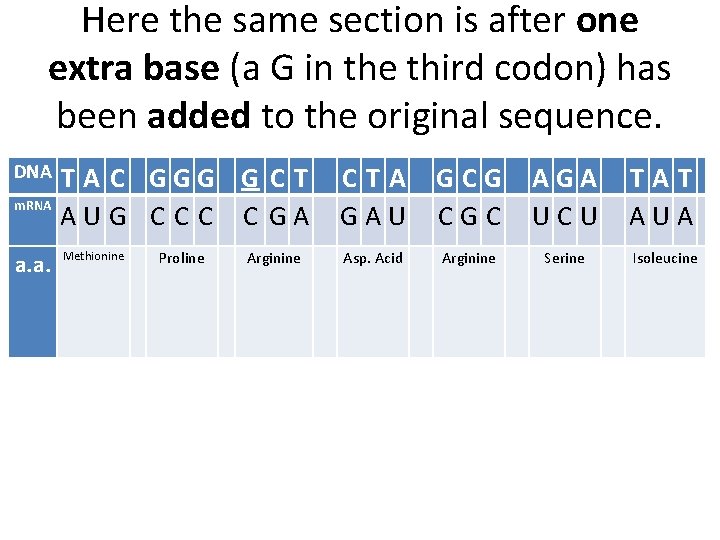 Here the same section is after one extra base (a G in the third