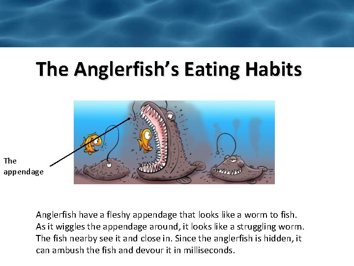 The Anglerfish’s Eating Habits The appendage Anglerfish have a fleshy appendage that looks like