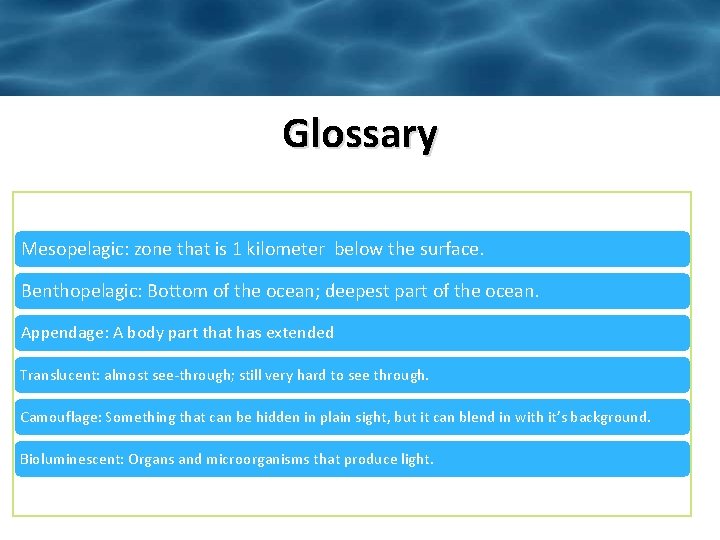 Glossary Mesopelagic: zone that is 1 kilometer below the surface. Benthopelagic: Bottom of the