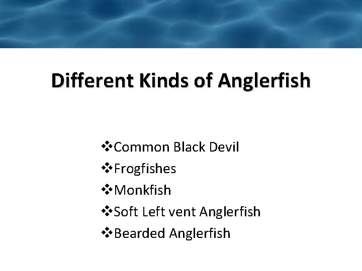 Different Kinds of Anglerfish v. Common Black Devil v. Frogfishes v. Monkfish v. Soft