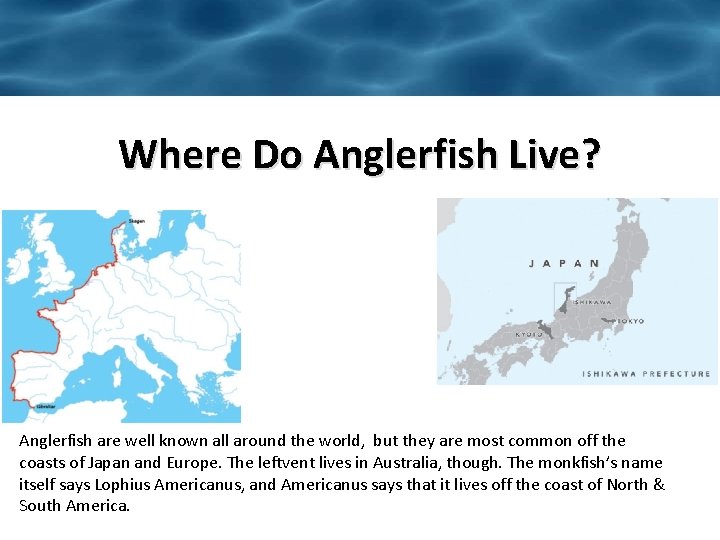 Where Do Anglerfish Live? Anglerfish are well known all around the world, but they