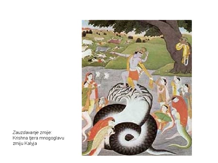 Zauzdavanje zmije: Krishna tjera mnogoglavu zmiju Kalyja 