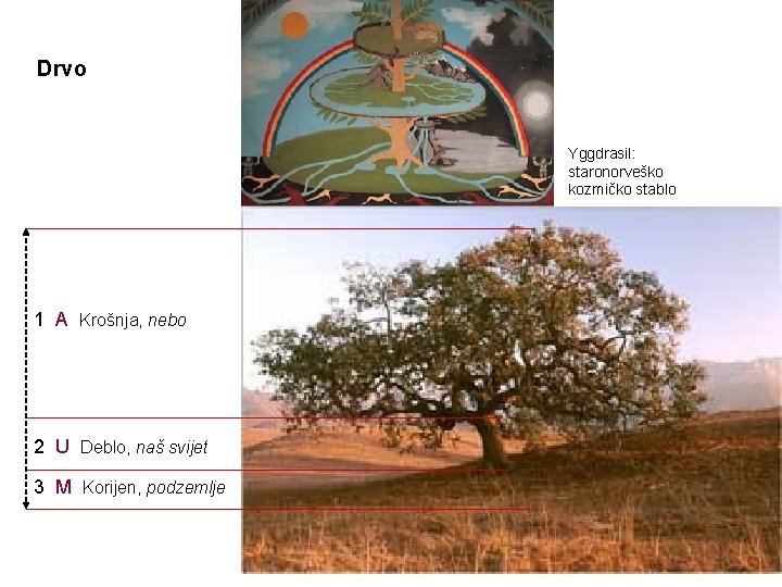 Drvo Yggdrasil: staronorveško kozmičko stablo 1 A Krošnja, nebo 2 U Deblo, naš svijet