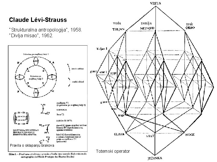 Claude Lévi-Strauss voda “Strukturalna antropologija”, 1958. “Divlja misao”, 1962. Pravila o sklapanju brakova Totemski