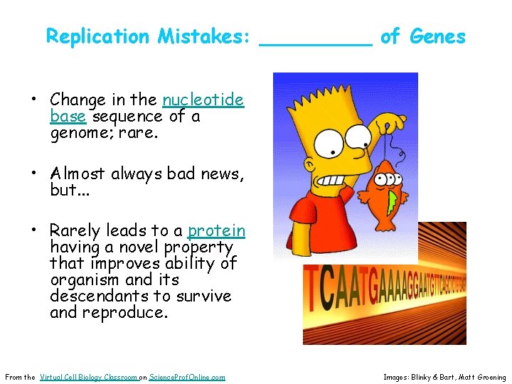 Replication Mistakes: _____ of Genes • Change in the nucleotide base sequence of a