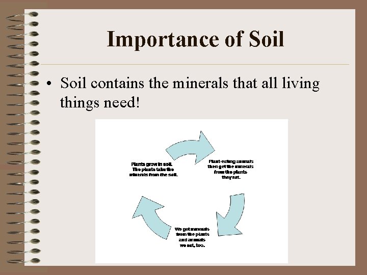 Importance of Soil • Soil contains the minerals that all living things need! 