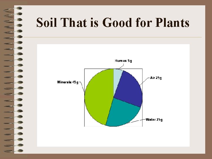 Soil That is Good for Plants 