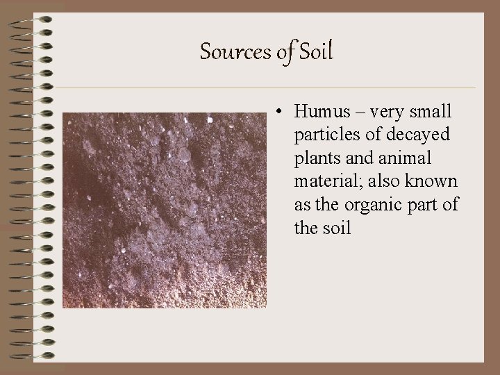 Sources of Soil • Humus – very small particles of decayed plants and animal