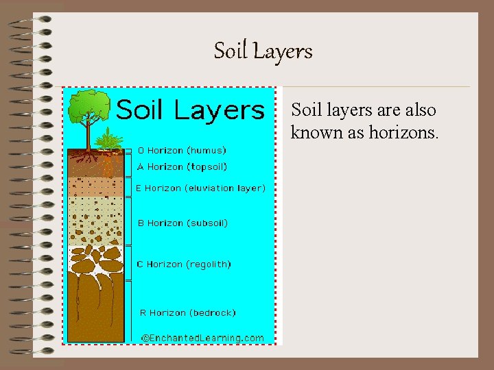 Soil Layers • Soil layers are also known as horizons. 