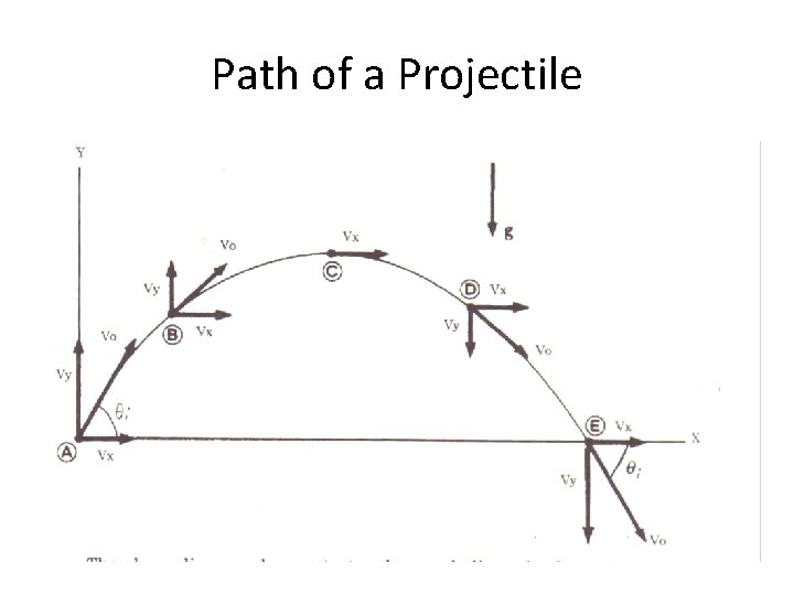 Path of a Projectile 