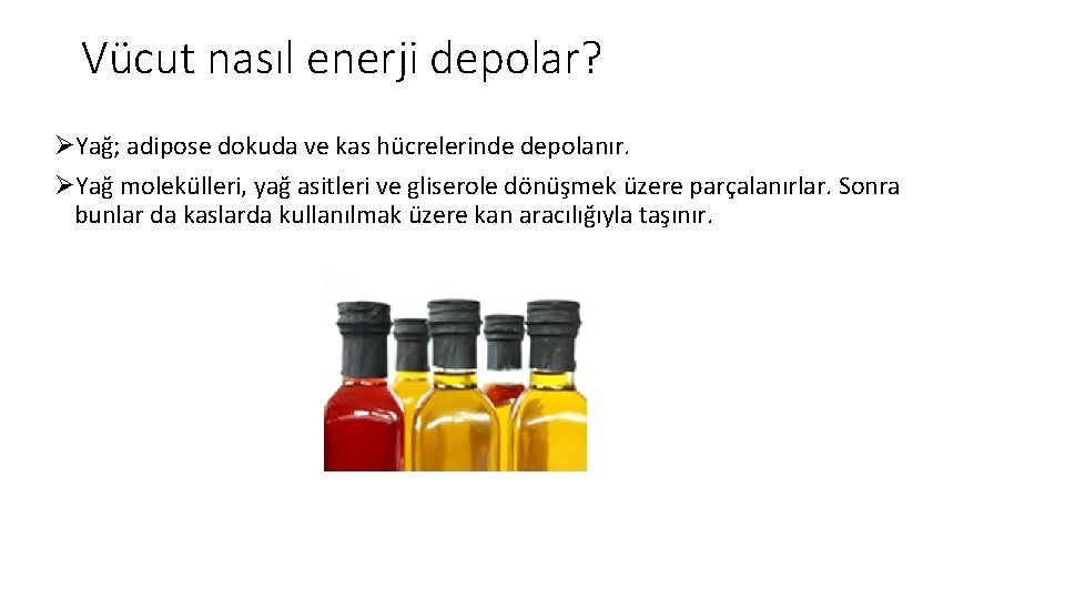 Vücut nasıl enerji depolar? ØYağ; adipose dokuda ve kas hücrelerinde depolanır. ØYağ molekülleri, yağ