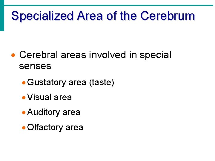 Specialized Area of the Cerebrum · Cerebral areas involved in special senses · Gustatory
