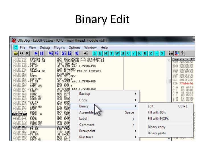 Binary Edit 