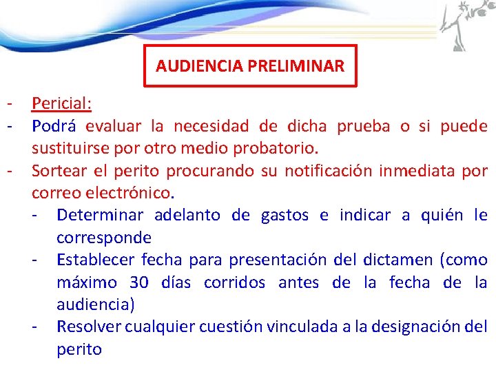 AUDIENCIA PRELIMINAR - Pericial: Podrá evaluar la necesidad de dicha prueba o si puede