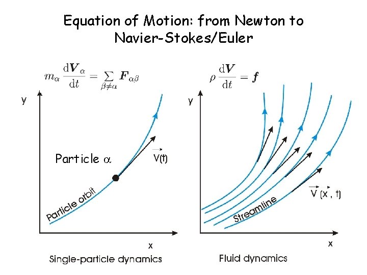 Equation of Motion: from Newton to Navier-Stokes/Euler Particle 