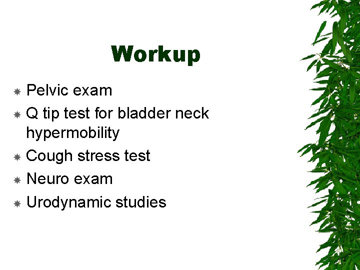 Workup Pelvic exam Q tip test for bladder neck hypermobility Cough stress test Neuro