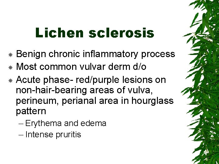Lichen sclerosis Benign chronic inflammatory process Most common vulvar derm d/o Acute phase- red/purple